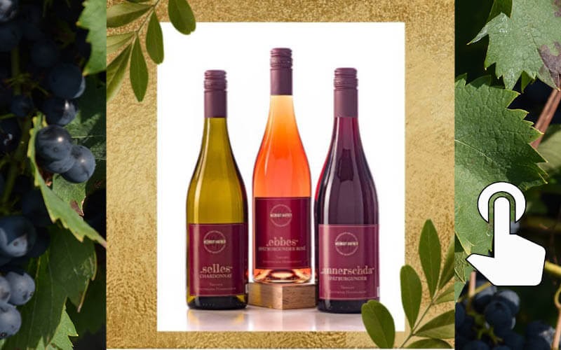 Weingut Markus Hafner